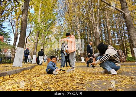 (241117) -- QINGDAO, 17 novembre 2024 (Xinhua) -- le persone giocano con le foglie cadute nell'area panoramica di Badaguan a Qingdao, nella provincia di Shandong della Cina orientale, 17 novembre 2024. (Xinhua/li Ziheng) Foto Stock