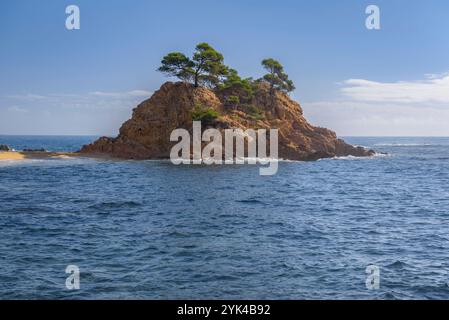 Spiaggia di Cap Roig e Sant Jordi, a Sant Antoni de Calonge, al mattino in Costa Brava (Baix Empordà, Girona, Catalogna, Spagna) Foto Stock