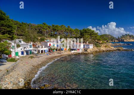 Villaggio di pescatori di S'Alguer, a Palamós, uno dei luoghi più rappresentativi della Costa Brava (Baix Empordà, Girona, Catalogna, Spagna) Foto Stock