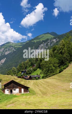 Fienile tradizionale e terreno agricolo, Brienz, Svizzera Foto Stock