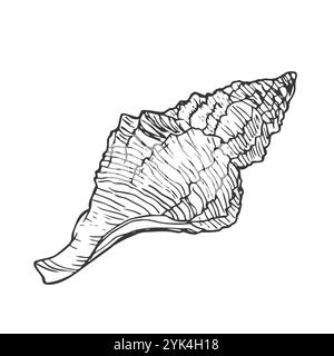 Illustrazione in bianco e nero di un guscio con inchiostro disegnato a mano. Conchiglie la grafica vettoriale isolata Illustrazione Vettoriale