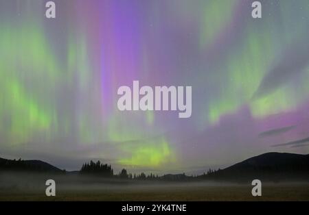 Aurora boreale sulla Yaak Valley l'11 maggio 2024. Contea di Lincoln, Montana nord-occidentale. Foto Stock