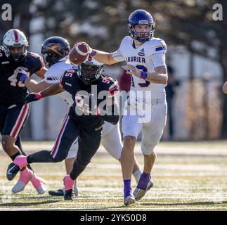 (Ottawa, Canada---19 ottobre 2024) Taylor Elgersma dei Golden Hawks della Laurier University. OUA regular season football — Laurier Golden Hawks 44 Carle Foto Stock