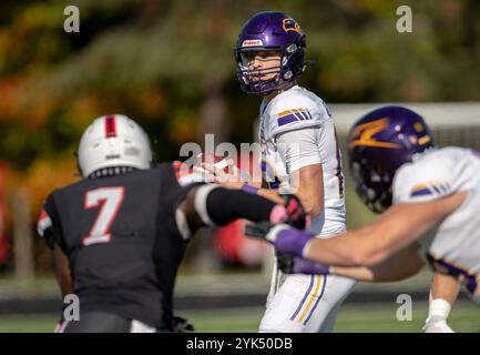 (Ottawa, Canada--19 ottobre 2024) 13l13. OUA regular season football — Laurier Golden Hawks 44 Carleton University Ravens 24. Copyright della fotografia Foto Stock