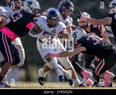 (Ottawa, Canada---19 ottobre 2024) Tayshaun Jackson dei Golden Hawks della Laurier University. OUA regular season football - Laurier Golden Hawks 44 Carl Foto Stock