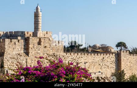 Torre di Davide all'ingresso della porta di Giaffa nella città vecchia di Gerusalemme Foto Stock