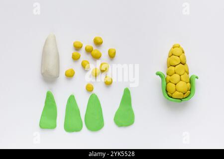 Modellare l'argilla. Artigianato plastico verdure di mais. Passo dopo passo. Attività per bambini nella lezione d'arte scolastica e nel concetto di plasticina. Foto Stock