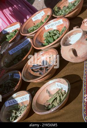 Mirador Cruz del Cóndor, Perù, 29 aprile 2009: Andean Herbal Wisdom: Traditional Medicine Market at Mirador Cruz del Condor, Perù Foto Stock