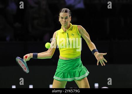 17 novembre 2024, Malaga, Malaga, Spagna: L'Australia Ajla Tomljanovic torna in prima linea nella partita contro la Slovacchia Rebecca Sramkova durante le finali della Coppa Billie Jean King 2024 - Womens Tennis (Credit Image: © Mathias Schulz/ZUMA Press Wire) SOLO PER USO EDITORIALE! Non per USO commerciale! Foto Stock