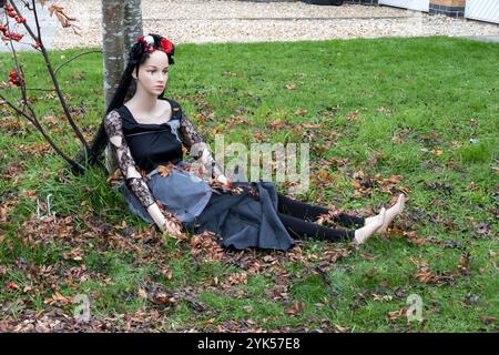 Vestito per Halloween Foto Stock