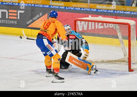 Linz, Austria. 17 novembre 2024. LINZ, AUSTRIA - 17 NOVEMBRE: Nicholas Daniel Moutrey di Migross Supermercati Asiago Hockey e Rasmus Tirronen di Steinbach Black Wings Linz durante la partita di campionato di hockey SU GHIACCIO di due giorni tra Steinbach Black Wings Linz e Migross Supermercati Asiago Hockey a Linz AG Eisarena il 17 novembre 2024 a Linz, Austria.241117 SEPA 20 023 - 20241117 PD4603 credito: APA-Picturey Live News/Alamy-PictureDesk Foto Stock