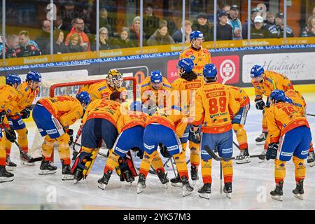 Linz, Austria. 17 novembre 2024. LINZ, AUSTRIA - 17 NOVEMBRE: Squadra del Migross Supermercati Asiago Hockey durante la partita di campionato di hockey SU GHIACCIO di 2 giorni tra Steinbach Black Wings Linz e Migross Supermercati Asiago Hockey al Linz AG Eisarena il 17 novembre 2024 a Linz, Austria.241117 SEPA 20 002 - 20241117 PD4604 credito: APA-PictureDesk/Alamy Live News Foto Stock