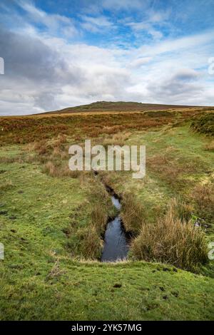 Vista invernale di Cox tor su Dartmoor Devon Foto Stock