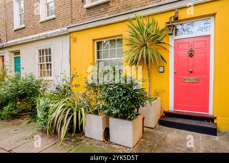 Colorati cottage terrazzati con esposizioni di piante in vaso, nel centro di Londra, Regno Unito. Foto Stock