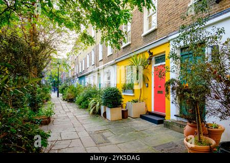 Colorati cottage terrazzati con esposizioni di piante in vaso, nel centro di Londra, Regno Unito. Foto Stock