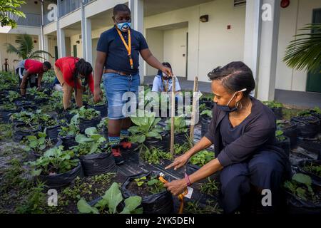 Con l'assistenza e la guida del North-South Institute and Department of Agriculture, gli studenti della North Lauderdale Elementary, Florida, coltivano verdure nell'orto della scuola, 25 febbraio 2021. Il giardino, creato tre anni fa, fornisce agli studenti e alla facoltà un’agroterapia molto necessaria e altri benefici mentali e fisici; specialmente durante questo periodo di COVID, secondo la coordinatrice del giardino della scuola Doreen Brown. Video USDA/FPAC di Preston Keres Foto Stock