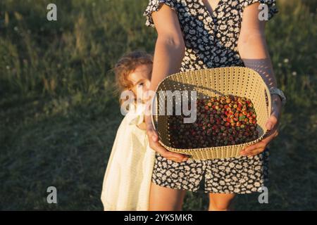 Bacche rosse fresche mature di fragole selvatiche in un cesto nelle mani di una donna in un abito estivo in campagna alla luce del sole. Doni della natura Foto Stock