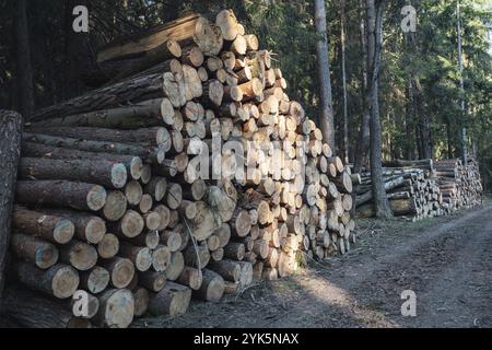 Un mucchio di legno. Una vista di enormi quantità di registri Foto Stock