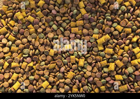 Cibo secco per cani e gatti da vicino, uno sfondo di pellet rotonde e cuscini con un soffice paté di ripieno. Cibo sano per animali domestici, copyspace Foto Stock