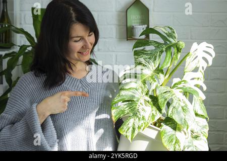 La donna tiene a casa pianta rara monstera alba variegata in vaso all'interno della casa Foto Stock