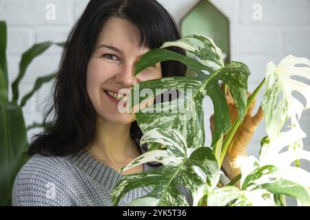 La donna tiene a casa pianta rara monstera alba variegata in vaso all'interno della casa Foto Stock