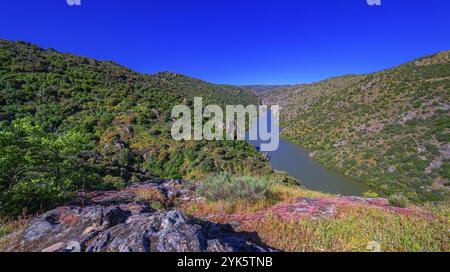 Percorso a piedi Mirador del Duero Viewpoint, Parco naturale Arribes del Duero, SPA, SAC, riserva della Biosfera, Salamanca, Castilla y Leon, Spagna, Europa Foto Stock