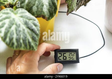 Sensore di umidità e temperatura per la corretta cura delle piante a casa. Begonia deciduo decorativo all'interno della casa. Hobby in crescita, cari Foto Stock