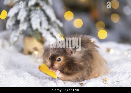 Un simpatico e soffice criceto stuzzica una carota sullo sfondo natalizio con luci da favola e bokeh Foto Stock