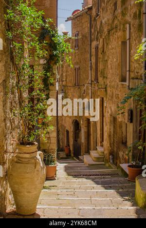 Antico cortile a Pitigliano con vasi con fiori sulle scale. italia Foto Stock