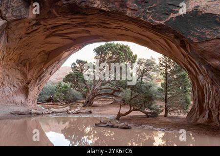 Navajo Arch lungo il sentiero del Devils Garden nell'Arches National Park nello Utah Foto Stock