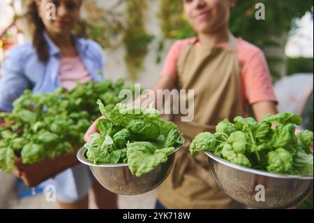 Bambini sorridenti che tengono verdi appena raccolti in giardino, godendo della natura e di attività salutari. Foto Stock