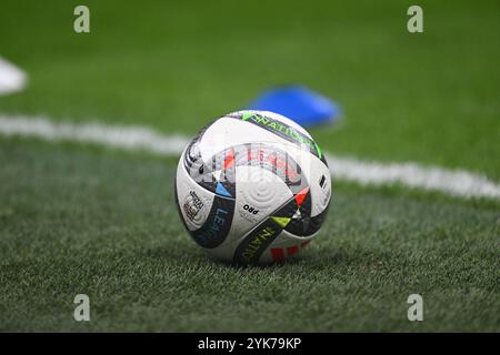 Partita di pallone nel girone A2 - UEFA NATIONS LEAGUE 2024 tra Italia e Francia il 17 novembre 2024 allo stadio Giuseppe Meazza San Siro Siro di Milano. Foto Stock