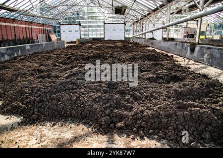 GREENHOUSE FOR DRYING OF SOLID Westmoreland /Fayette Municipal Sewage Authority Plant Manager Darryl Wyke controlla regolarmente l'impianto recentemente ristrutturato e ampliato di Scottdale, Pennsylvania, il 3 settembre 2021. Il progetto di $ 16.000.000.00 era composto da $ 14.394.000,00 finanziati dal Dipartimento dell'Agricoltura degli Stati Uniti USDA Rural Development RD come un prestito di 40 anni al 2,375% insieme a $ 2.000.000,00 da parte dello U.S. Army Corps of Engineers. L'impianto è stato aggiornato a un impianto di trattamento delle acque reflue del reattore batch di sequenziamento in grado di trattare un flusso medio giornaliero di clima secco di 2,5 milioni di galloni Foto Stock