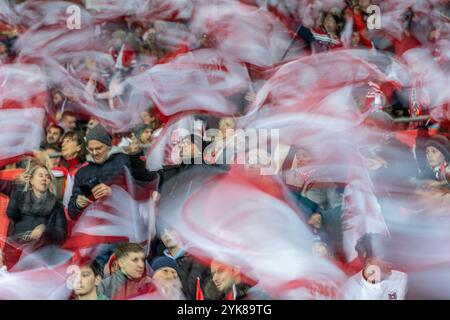 Vienna, Austria. 17 novembre 2024. VIENNA, AUSTRIA - 17 NOVEMBRE: Tifosi austriaci durante la partita B3 di Lega B 2024/25 tra Austria e Slovenia il 17 novembre 2024 a Vienna, Austria.241117 SEPA 19 097 - 20241117 PD13257 credito: APA-PictureDesk/Alamy Live News Foto Stock