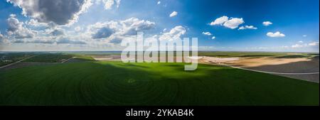 Vista panoramica aerea dall'alto di un campo di sesamo della raccolta del cotone delle Ernie Schirmer Farms, con famiglia, colleghi agricoltori e lavoratori che si uniscono per i lunghi giorni di lavoro, a Batesville, Texas, il 23 agosto 2020. Dalle 10:00 alle 22:00, le raccoglitrici sono guidate attraverso i campi circolari (pivot irrigati). Le raccoglitrici utilizzano teste di raccolta specializzate che ruotano e tirano il morbido bolo di cotone dalla pianta; quindi le bolle di cotone vengono aspirate in un grande contenitore aperto. Quando il serbatoio è pieno, gli operatori tornano nell'area industriale mobile per scaricare il cotone negli "sgabelli" (costruttori di moduli). St Foto Stock