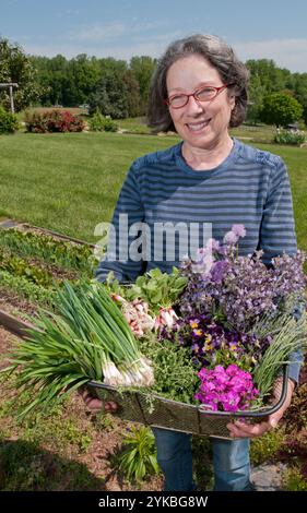 Proprietario Jo Pendergraph (visto), la sua famiglia e il team a Manakintowne Coltivatori di specialità Specialità di sollevamento produrre per cuochi e mercati di Richmond, Charlottesville e Williamsburg e un mozzo di cibo, il Venerdì, 6 maggio 2011 su un 21-acre farm in Powhatan County, Virginia. Il cibo online mozzo Lulus cibo locale è servita dalla caduta linea cooperativa di aziende agricole. Questa è una delle aziende che cuochi ottenere quelle apparentemente verdi uniche come il francese Sorrel, germogli di piselli, Frisee, Tat soi, Mizuna, rosa/verde germogli di rafano, germogli di semi di girasole, Baby red senape, Kale toscano, bietole. Tutte le raccolte a mano e un paio di forbici, m Foto Stock