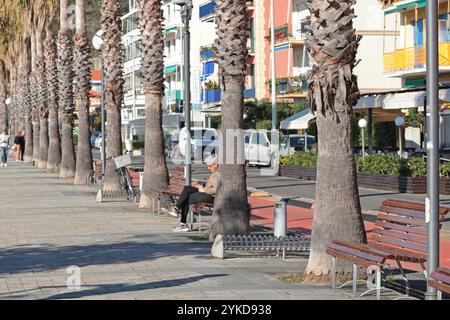 Sestri Levante, Liguria - 14 novembre 2024. Passeggiata sul mare con palme nella località di villeggiatura. Natura e svago. Edifici tradizionali. Giornata di sole Foto Stock