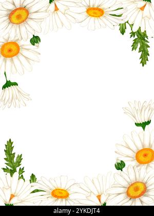 Striscione fatto di fiori e foglie di acquerello bianco. Camomilla per la progettazione dell'invito. Foto Stock