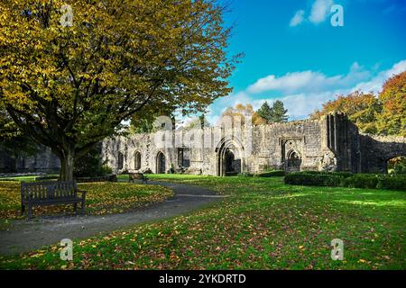 Colori autunnali all'interno delle rovine del monastero cistercense Whalley Abbey del XIV secolo, nella Ribble Valley Lancashire, Inghilterra, Regno Unito, Gran Bretagna Foto Stock