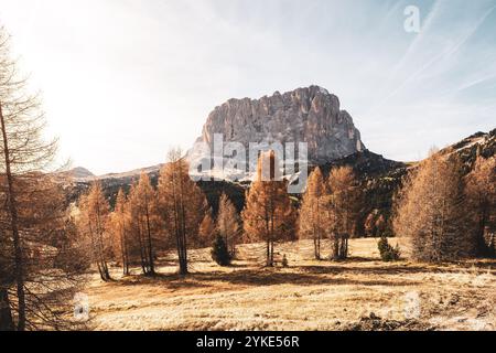 Blick auf den Langkofel vom Gebirgspass Grödner Joch im Naturpark Puez-Geisler im Herbst AM 09.11.2024. // Vista del Sassolungo dal passo Grödner Joch nel Parco naturale Puez-Geisler in autunno il 9 novembre 2024. - 20241109 PD20609 credito: APA-PictureDesk/Alamy Live News Foto Stock