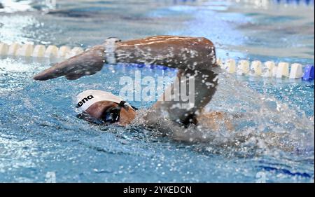 Belek, Turchia. 18 novembre 2024. Belgio Greg Van Avermaet in azione durante un training camp organizzato dal Comitato olimpico belga BOIC-COIB a Belek, Turchia, lunedì 18 novembre 2024. Il campo si svolge dall'11 al 25 novembre. BELGA PHOTO ERIC LALMAND credito: Belga News Agency/Alamy Live News Foto Stock