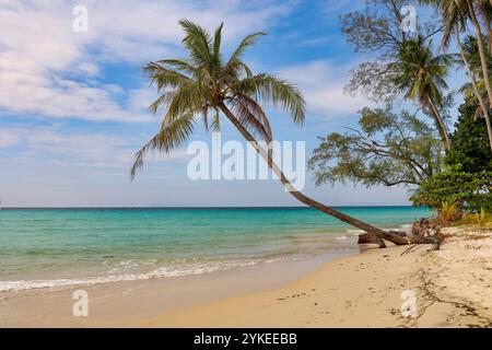 Spiaggia tropicale con palme adagiate verso il mare, Thailandia Foto Stock