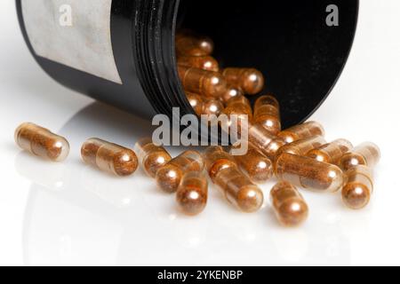 Cordyceps fungo in polvere in capsule isolate su fondo bianco. Vita lunga e sana, tema della longevità Foto Stock