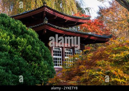 Sala da tè presso il giardino giapponese di Leverkusen, autunno, Renania settentrionale-Vestfalia, Germania. Teehaus im Japanischen Garten a Leverkusen, Herbst, Nordrhein Foto Stock