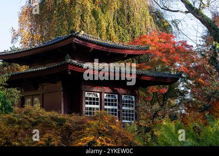 Sala da tè presso il giardino giapponese di Leverkusen, autunno, Renania settentrionale-Vestfalia, Germania. Teehaus im Japanischen Garten a Leverkusen, Herbst, Nordrhein Foto Stock