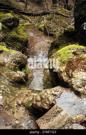 Grecia isola di Rodi villaggio di Theologos, valle delle farfalle, autunno 01 Foto Stock