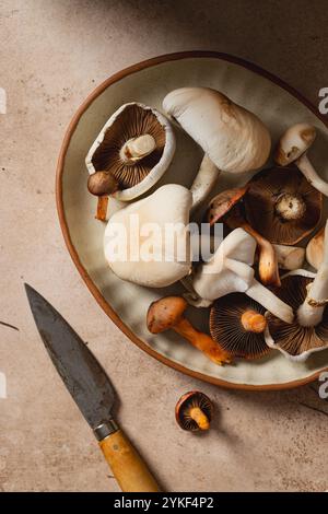 Vari tipi di funghi freschi commestibili esposti in una ciotola in ceramica rustica accanto a un coltello da cucina invecchiato, il tutto su uno sfondo beige testurizzato Foto Stock