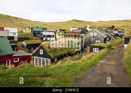 Case sul tetto in erba verde nella colorata isola di Mykines escursione e trekking nella terra delle pulcinelle di mare nelle Faroes in estate Foto Stock