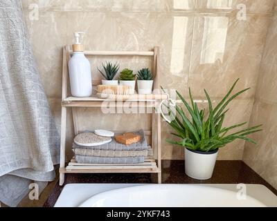 Gli interni contemporanei del bagno presentano accenti ecologici, tra cui un ripiano in legno con asciugamani, aloe vera e prodotti per la cura personale accanto a un elegante b Foto Stock