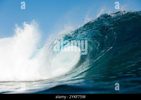 Una splendida onda oceanica si arriccia con grazia, catturando la potenza grezza e la bellezza della natura, l'acqua blu vibrante e la cresta bianca creano una visua accattivante Foto Stock